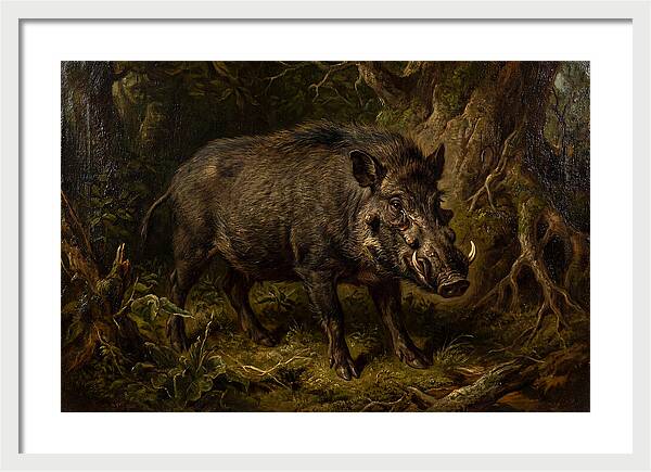 Visayan Warty Pig In Nature