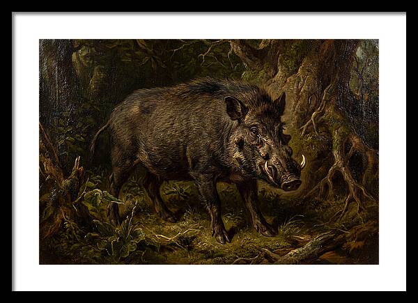 Visayan Warty Pig In Nature