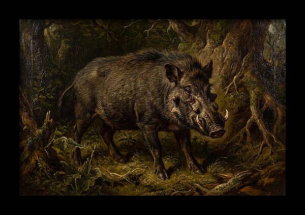 Visayan Warty Pig In Nature