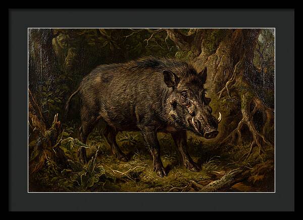 Visayan Warty Pig In Nature