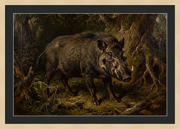 Visayan Warty Pig In Nature