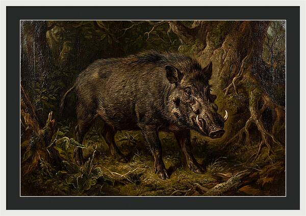 Visayan Warty Pig In Nature