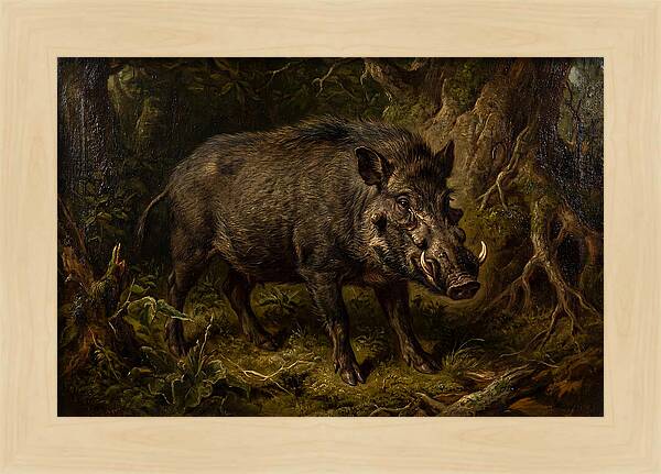 Visayan Warty Pig In Nature