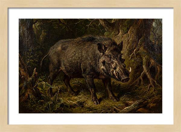 Visayan Warty Pig In Nature