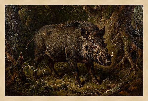 Visayan Warty Pig In Nature