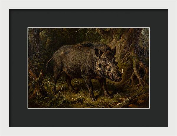 Visayan Warty Pig In Nature