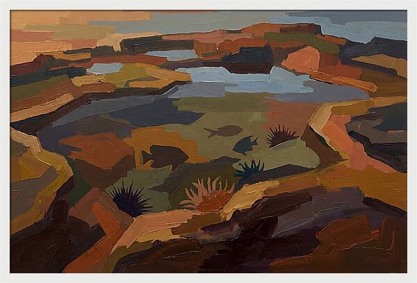 Volcanic Island Tide Pool