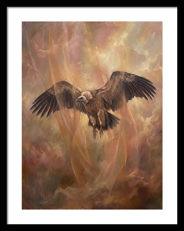 Vulture In Flight