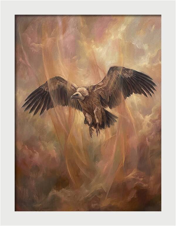 Vulture In Flight