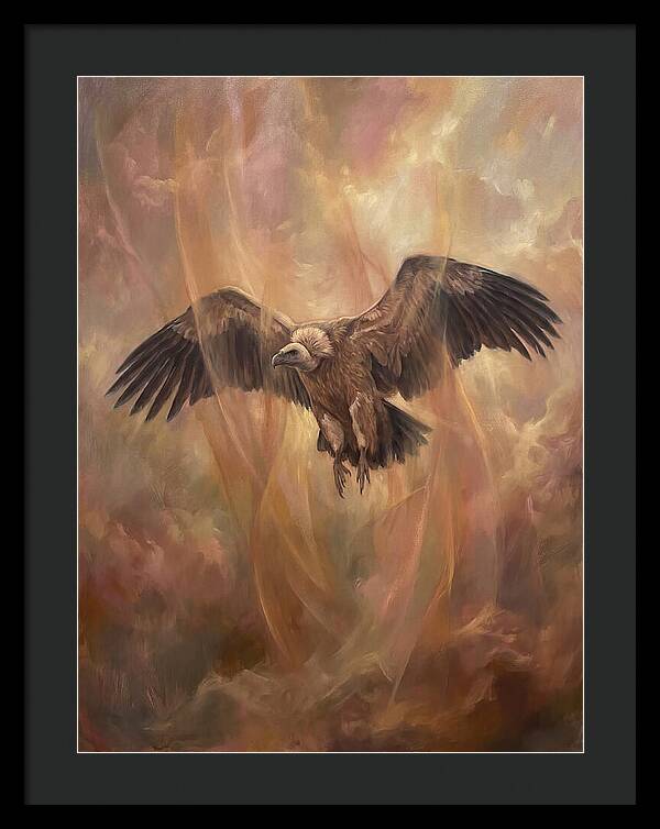Vulture In Flight