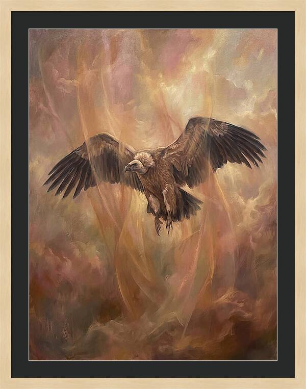 Vulture In Flight