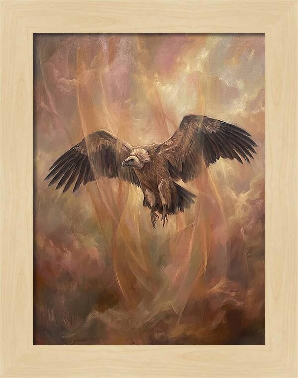 Vulture In Flight
