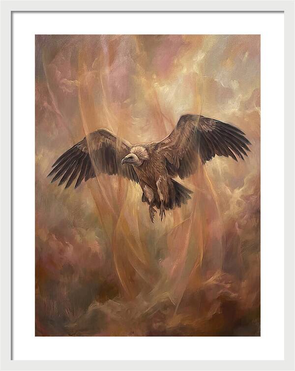 Vulture In Flight