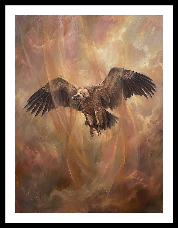 Vulture In Flight