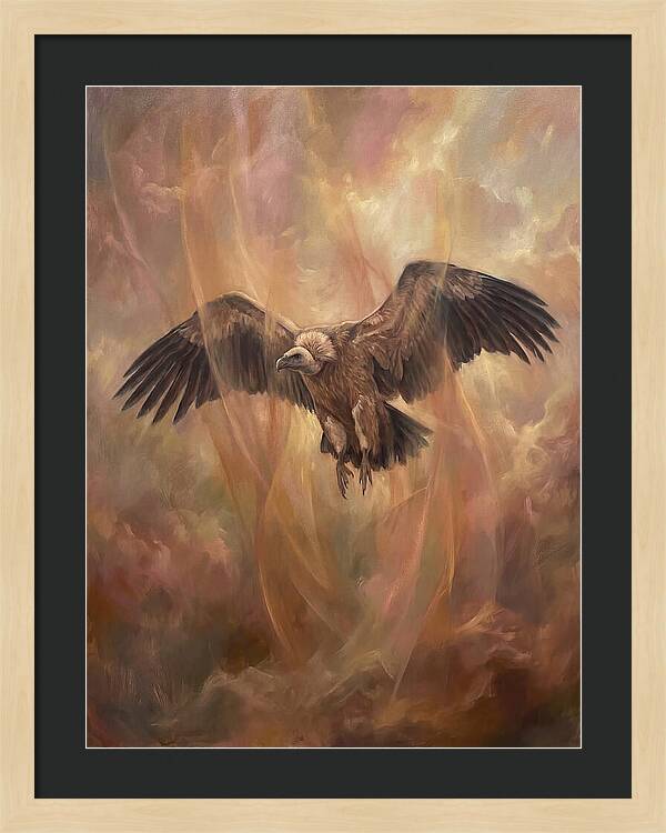 Vulture In Flight