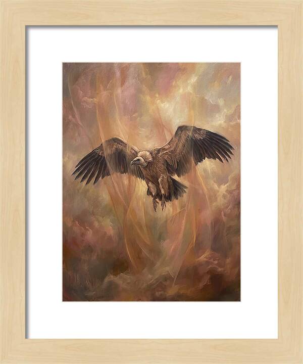 Vulture In Flight