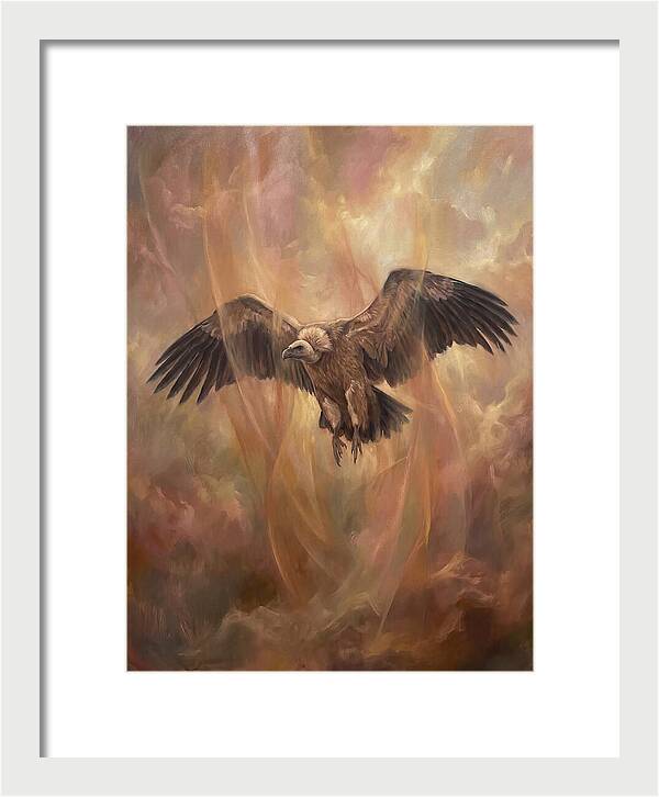 Vulture In Flight