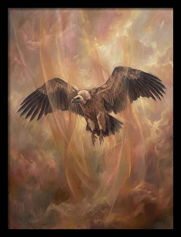 Vulture In Flight