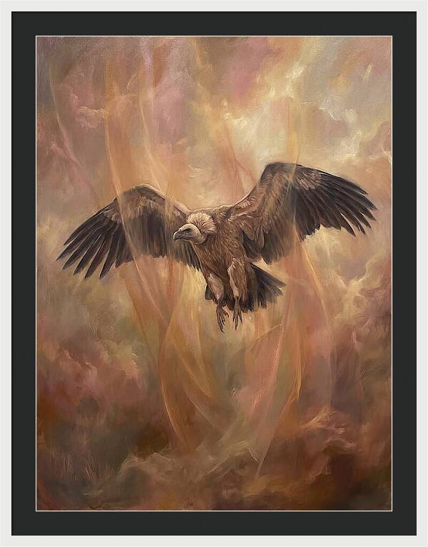 Vulture In Flight