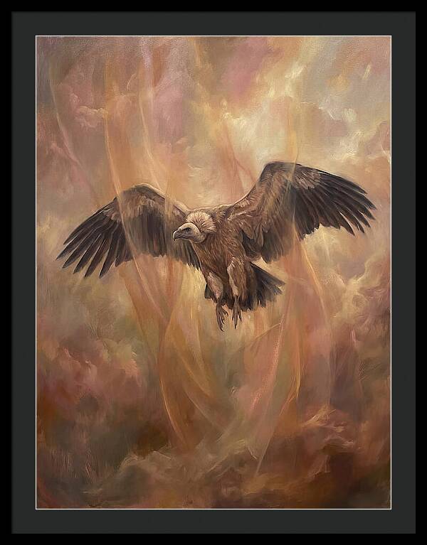 Vulture In Flight