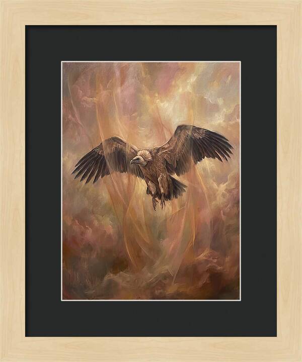 Vulture In Flight