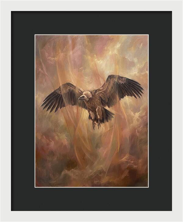 Vulture In Flight