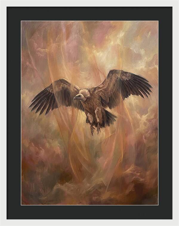 Vulture In Flight