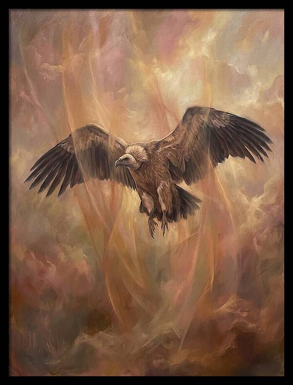 Vulture In Flight