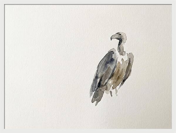 Vulture In Minimalist Style