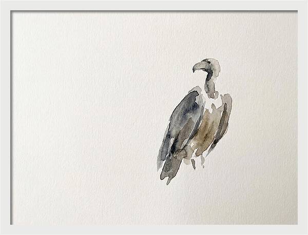 Vulture In Minimalist Style