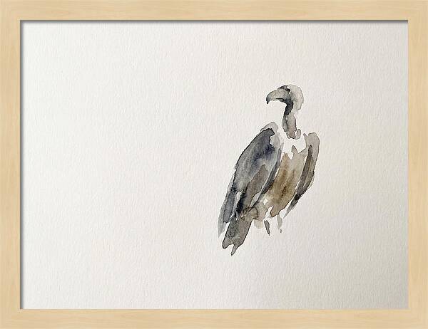 Vulture In Minimalist Style