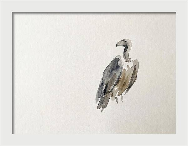 Vulture In Minimalist Style