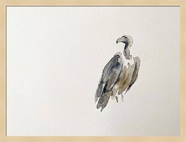 Vulture In Minimalist Style
