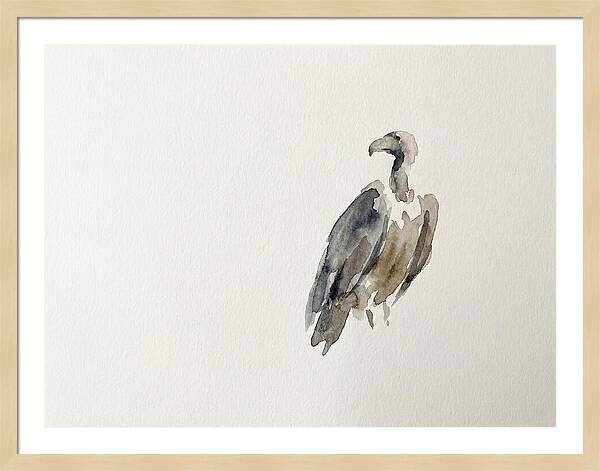 Vulture In Minimalist Style