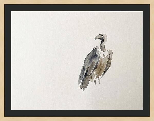Vulture In Minimalist Style