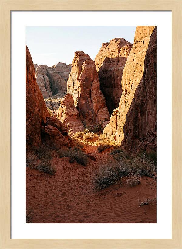 Wadi Rum Canyon Warmth