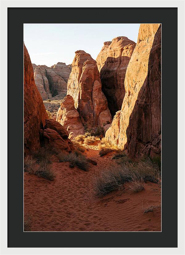 Wadi Rum Canyon Warmth