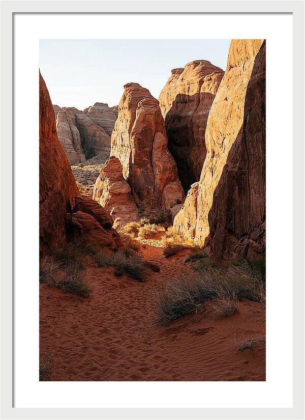 Wadi Rum Canyon Warmth