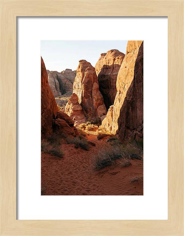 Wadi Rum Canyon Warmth