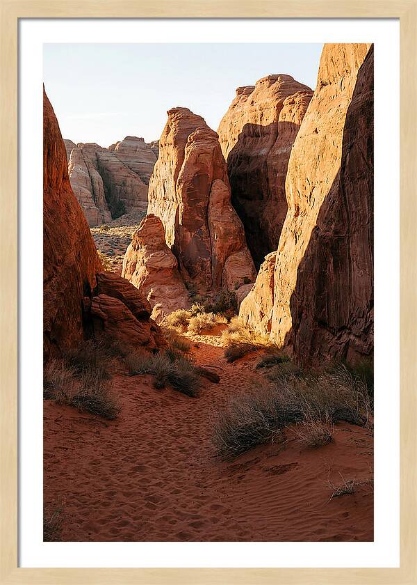 Wadi Rum Canyon Warmth