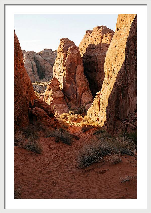 Wadi Rum Canyon Warmth