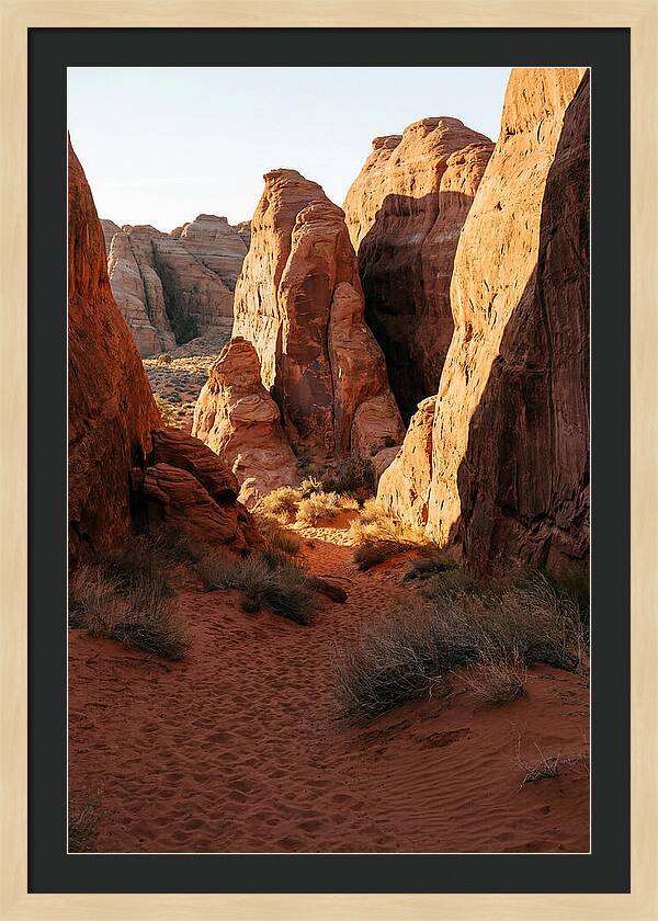 Wadi Rum Canyon Warmth
