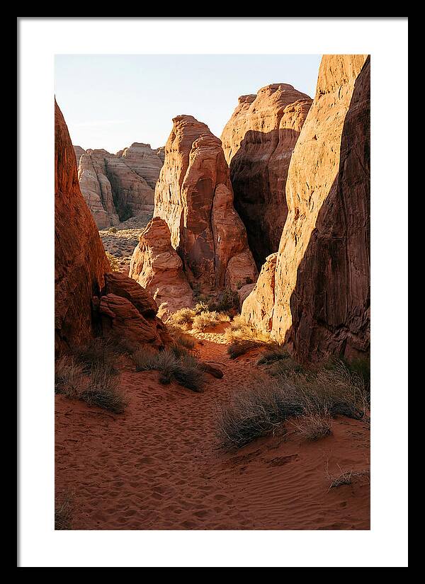 Wadi Rum Canyon Warmth
