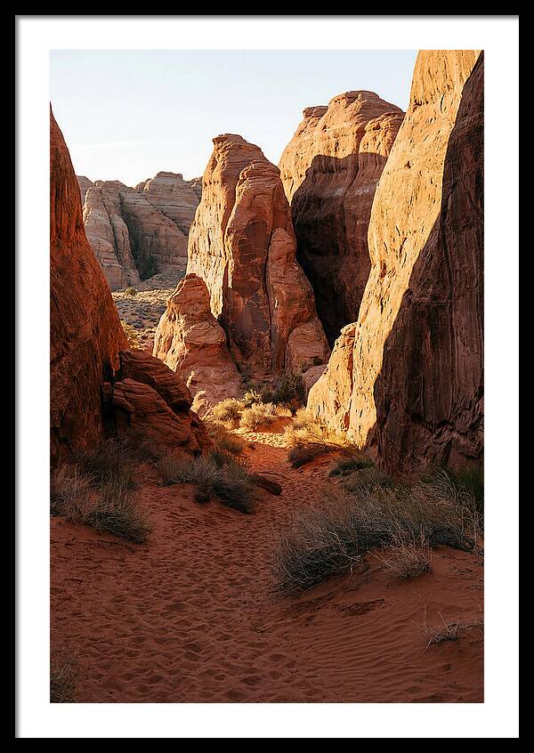 Wadi Rum Canyon Warmth