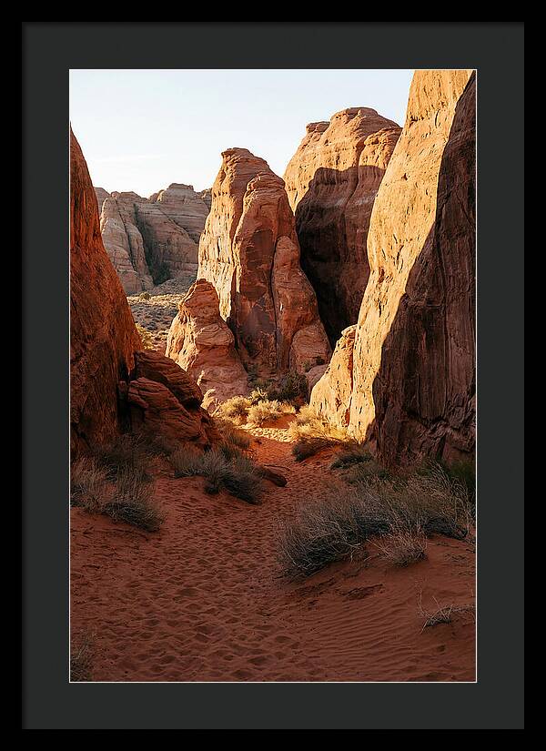 Wadi Rum Canyon Warmth