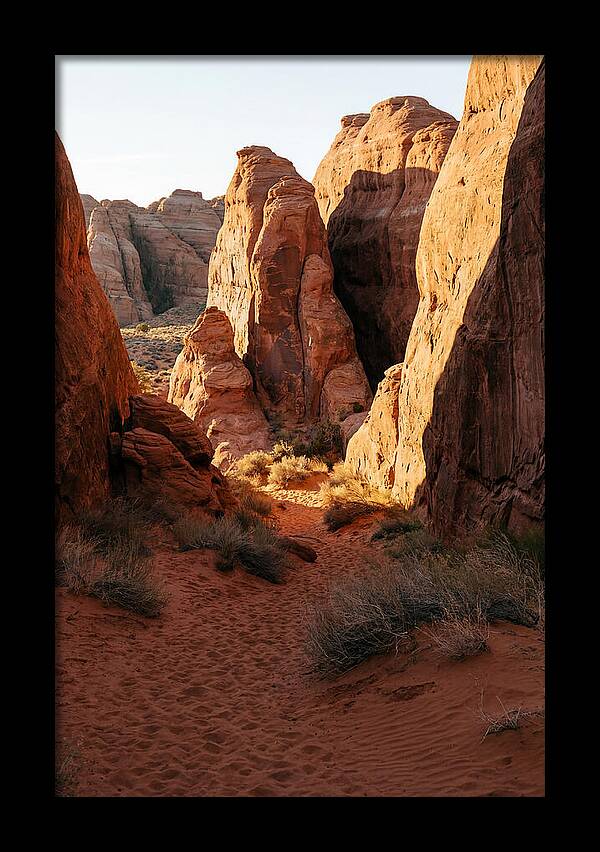 Wadi Rum Canyon Warmth
