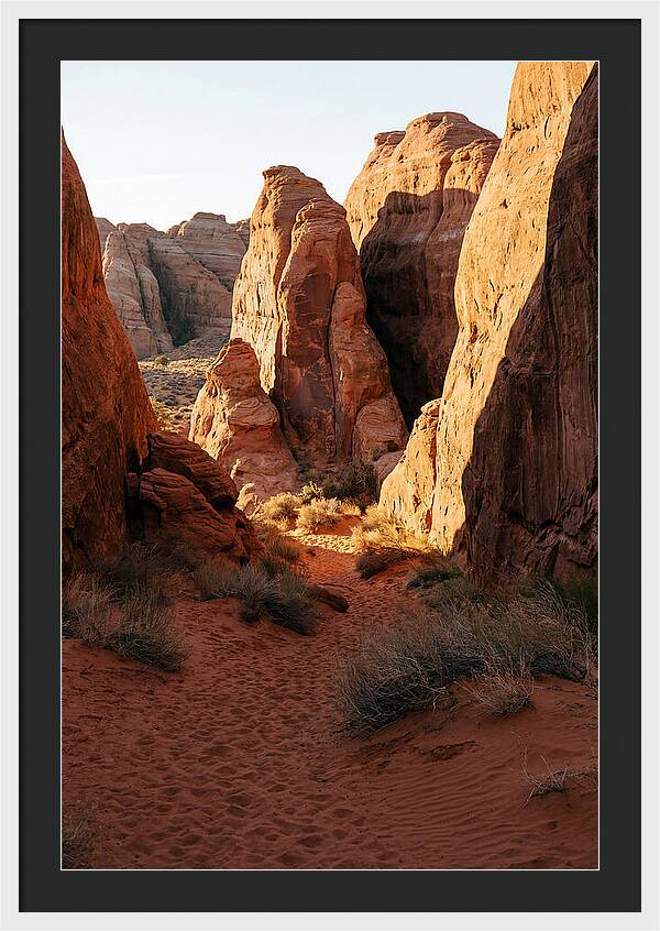 Wadi Rum Canyon Warmth