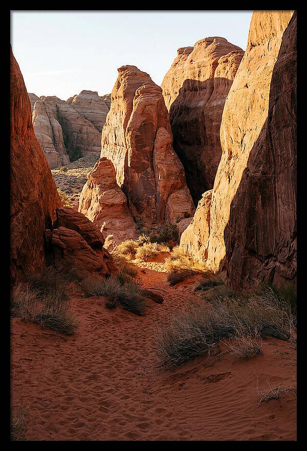 Wadi Rum Canyon Warmth