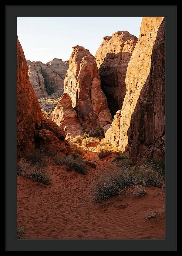 Wadi Rum Canyon Warmth