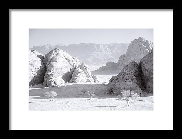 Wadi Rum Tranquility